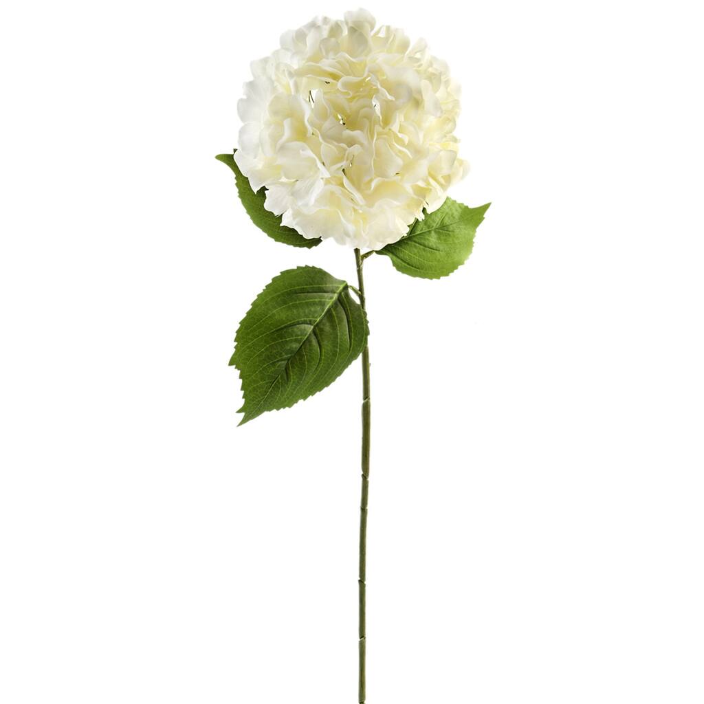 Ashland® Classic Traditions™ Hydrangea Stem